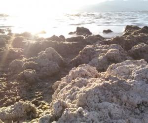 Discover the Mud Pots and Volcanoes of California's Salton Sea