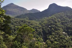 Tijuca National Park travel guide