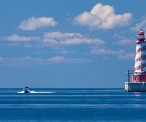 Discover 12 Creatures Living in Lake Michigan... Are Any Dangerous?