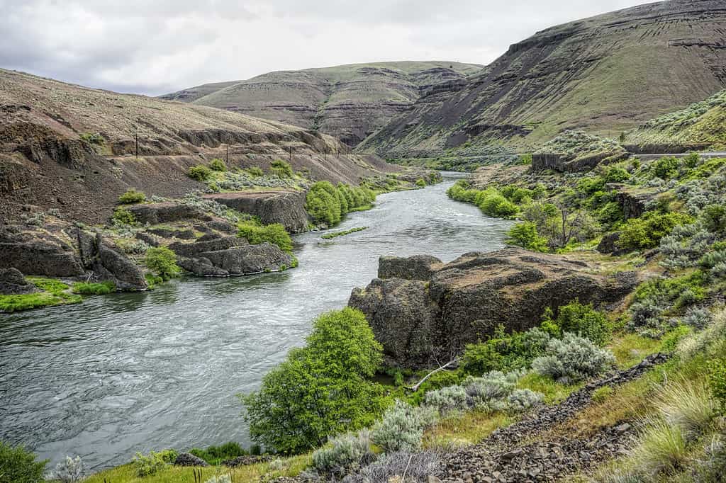 How Long Is the Deschutes River From Start to End?