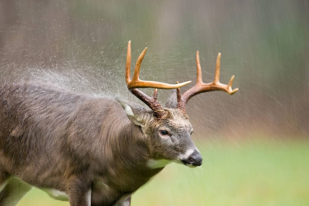 Presque Isle State Park: Ideal Visiting Time and 10 Things to Do