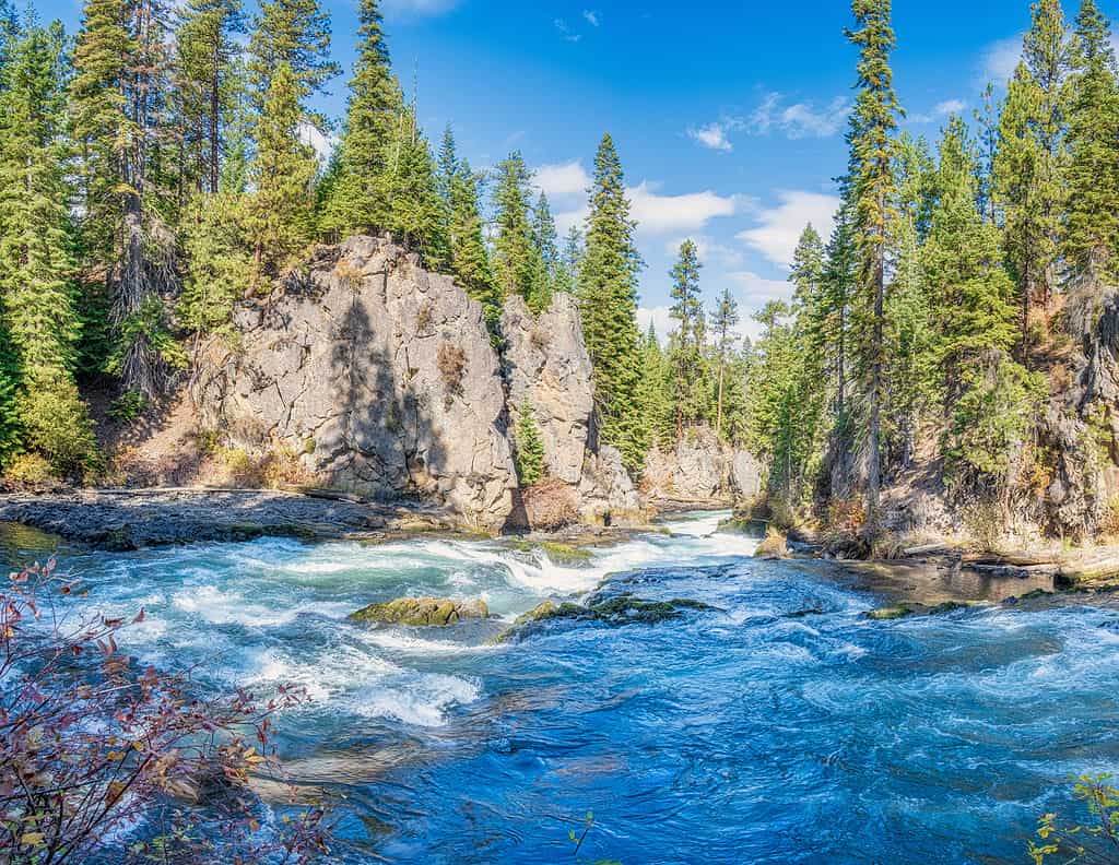 How Long Is the Deschutes River From Start to End?