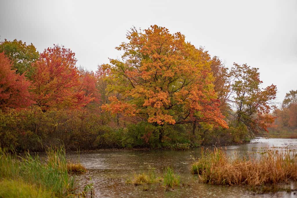 Presque Isle State Park: Ideal Visiting Time and 10 Things to Do