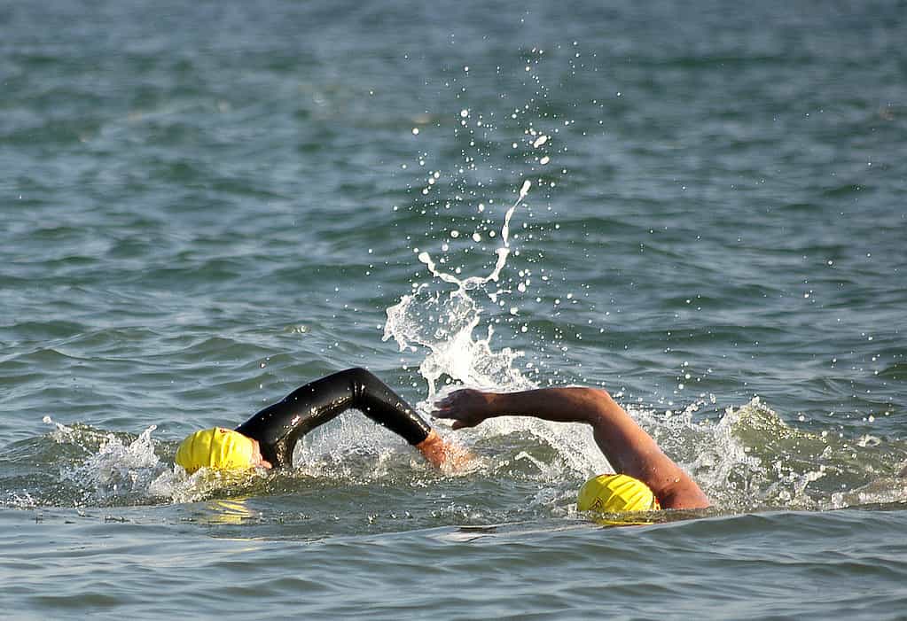 What's in the St. Marys River and Is It Safe to Swim In?