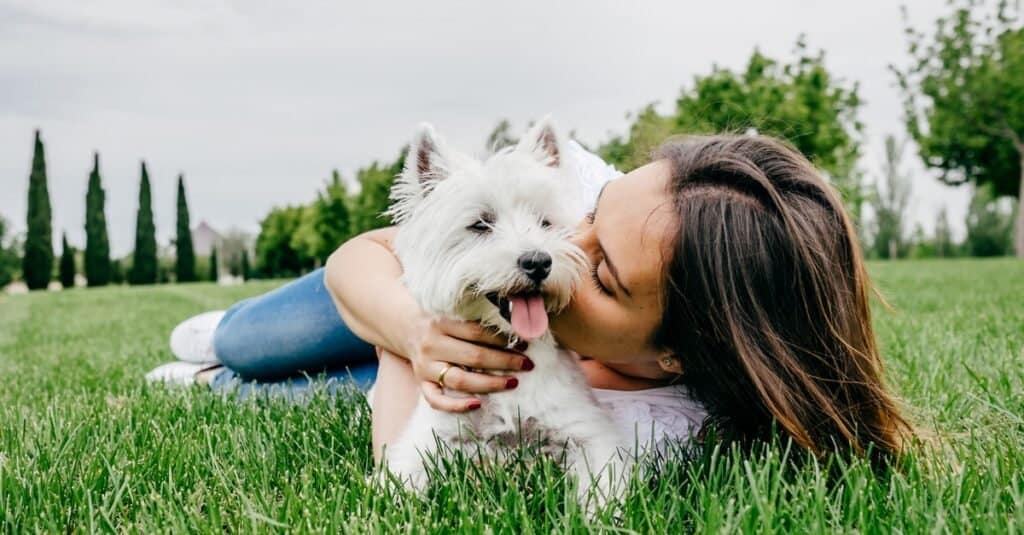 Are Dogs Allowed In Malls? 10 Important Rules to Know