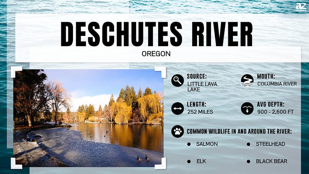 How Long Is the Deschutes River From Start to End?