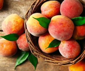 Discover When Nectarines Are in Peak Season and Where They Grow