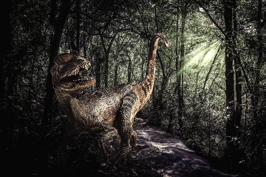 Discover the Biggest Dilophosaurus Ever Found 