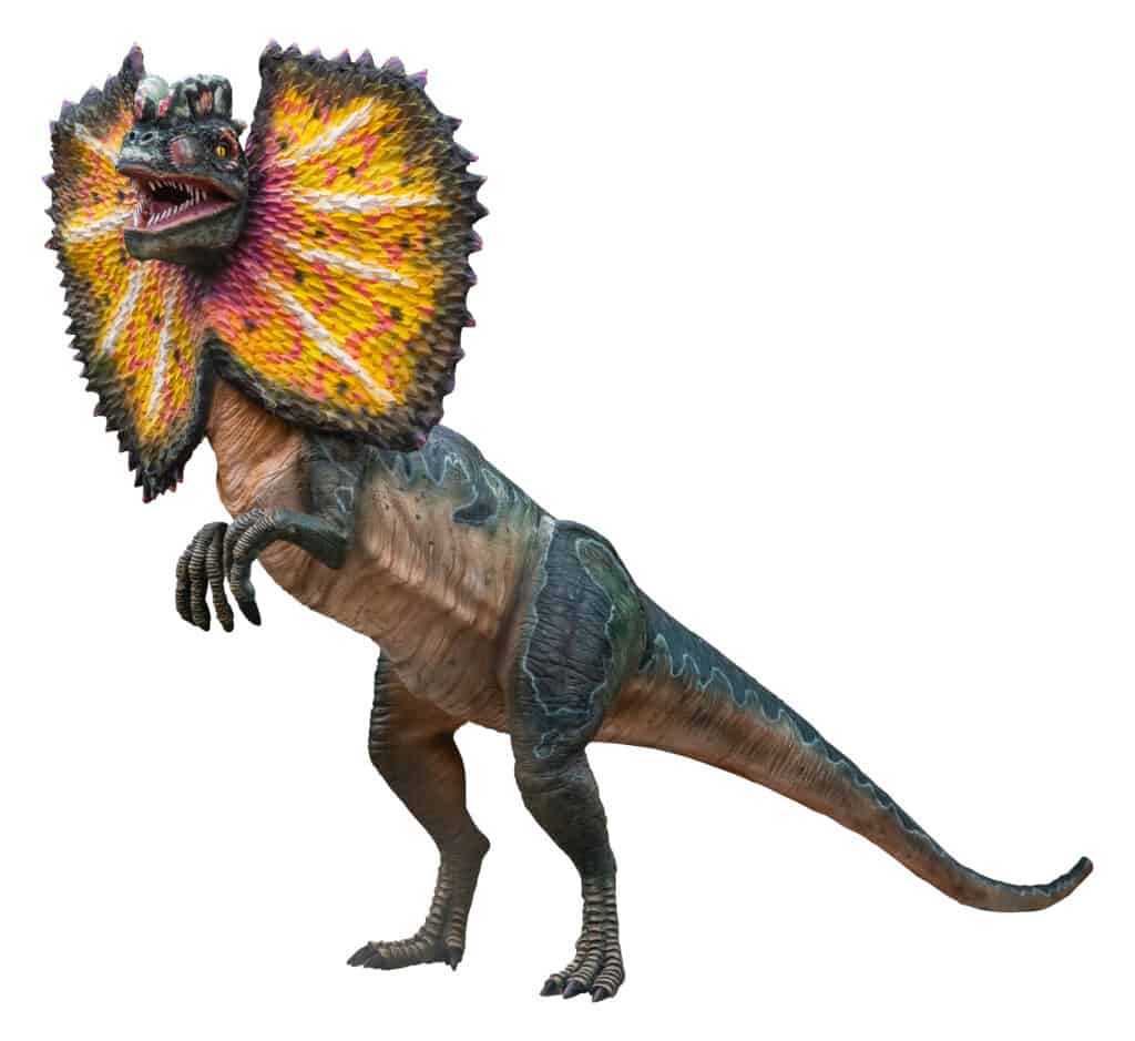 Discover the Biggest Dilophosaurus Ever Found 