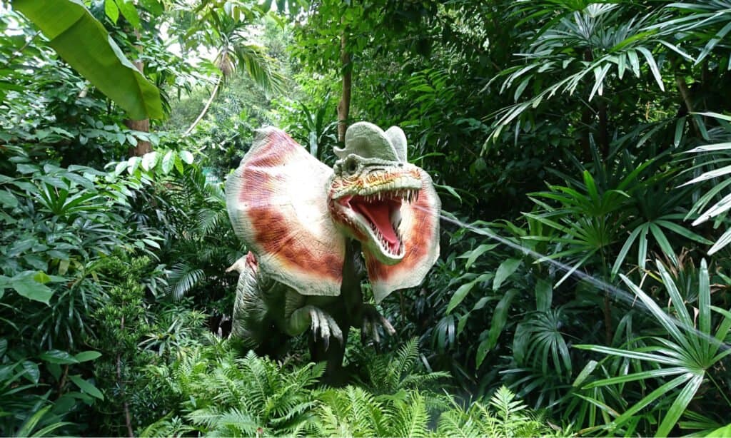 Discover the Biggest Dilophosaurus Ever Found 