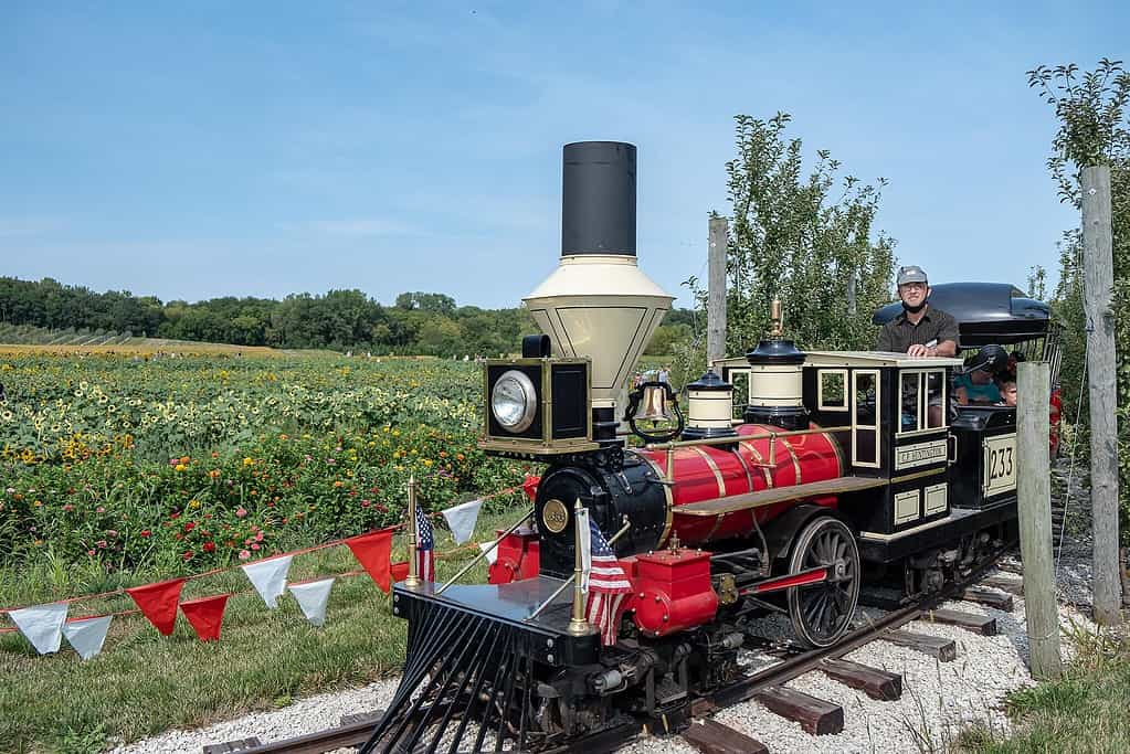 Explore the 15 Best Pumpkin Patches in Illinois To Embrace The Fall Season