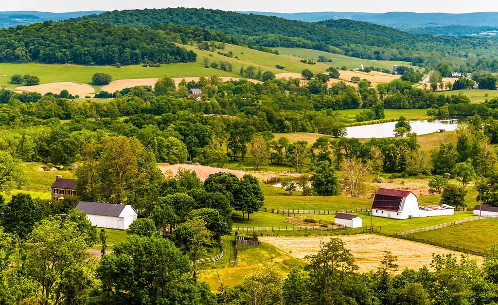 Explore the 10 Best Pumpkin Patches in Virginia For a Great Fall Adventure