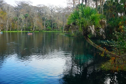 Silver Springs State Park: Best Time to Visit, Cost, and Fun Activities