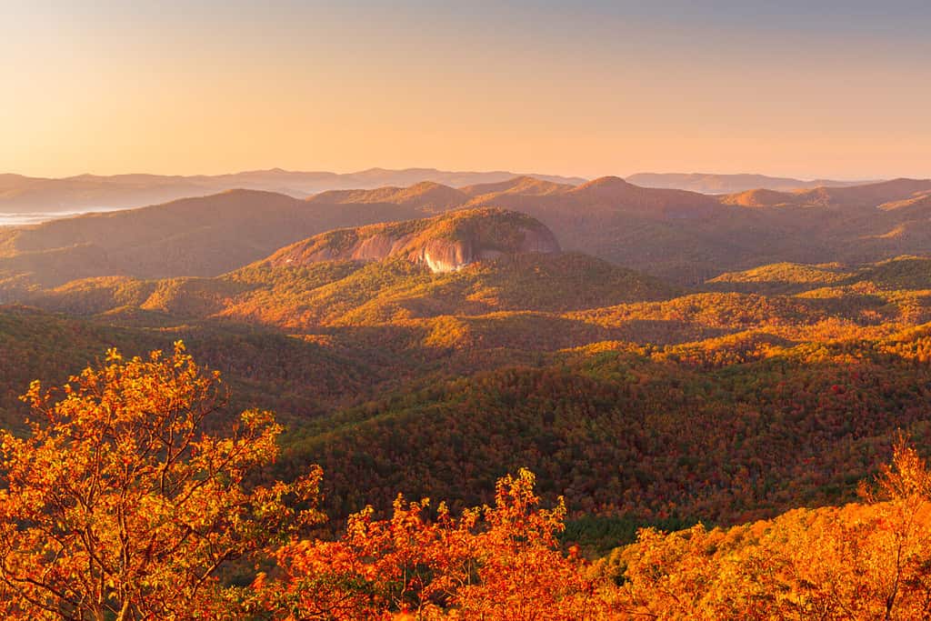 The 8 Best Hiking Trails in North Carolina With Amazing Views