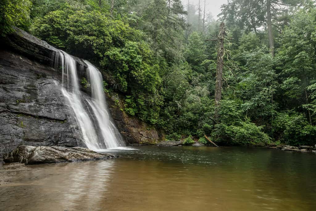 The 8 Best Hiking Trails in North Carolina With Amazing Views