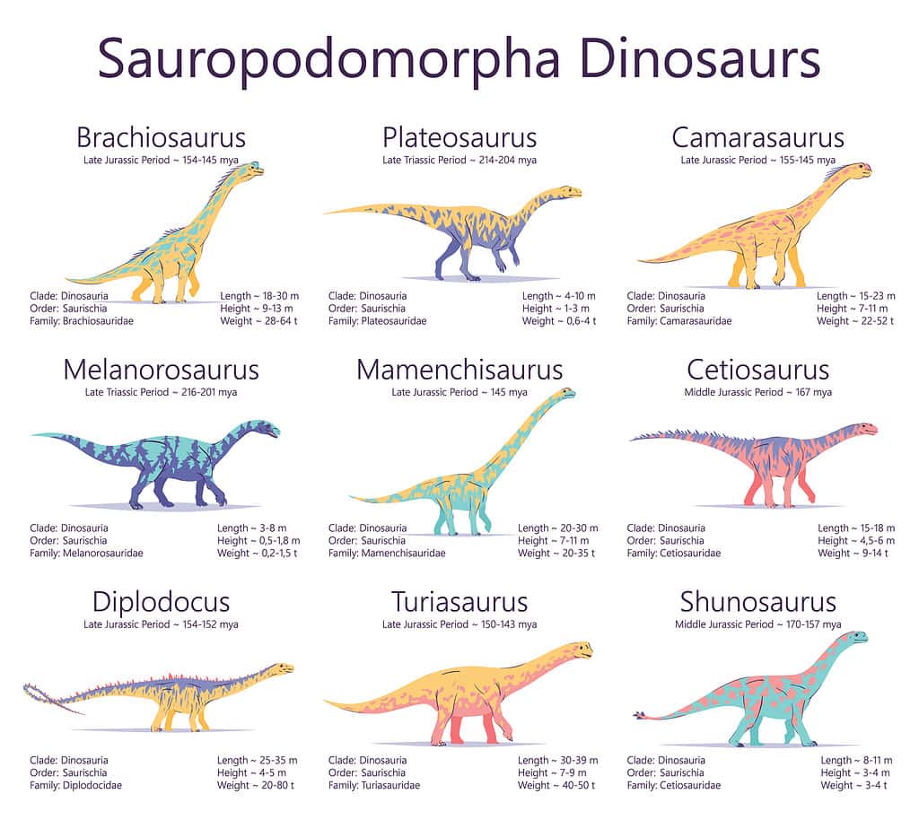 Discover Camarasaurus: Where It Roamed, Diet, Predators, and More!