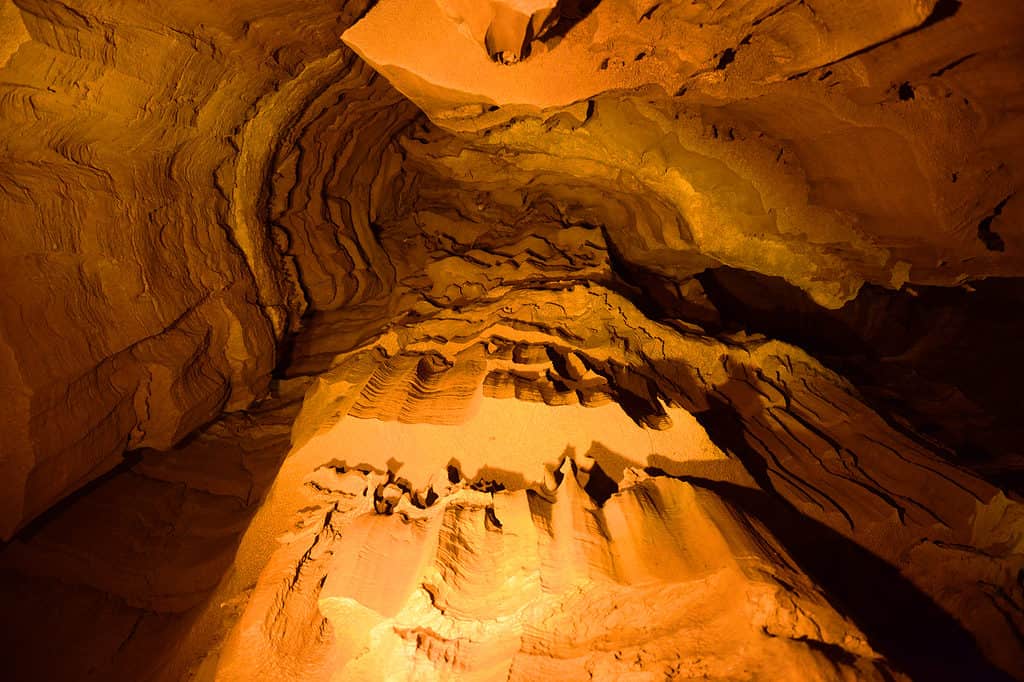 Shark Species Found in Cave in Kentucky.... Yes, Kentucky