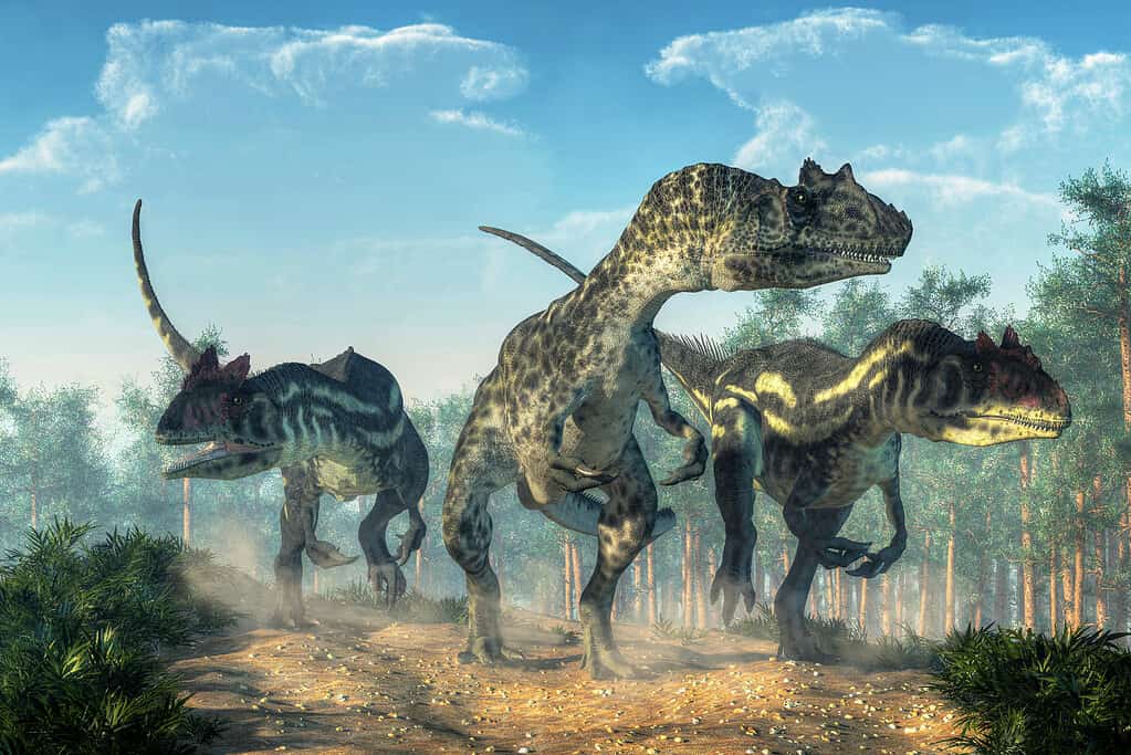 Discover Camarasaurus: Where It Roamed, Diet, Predators, and More!