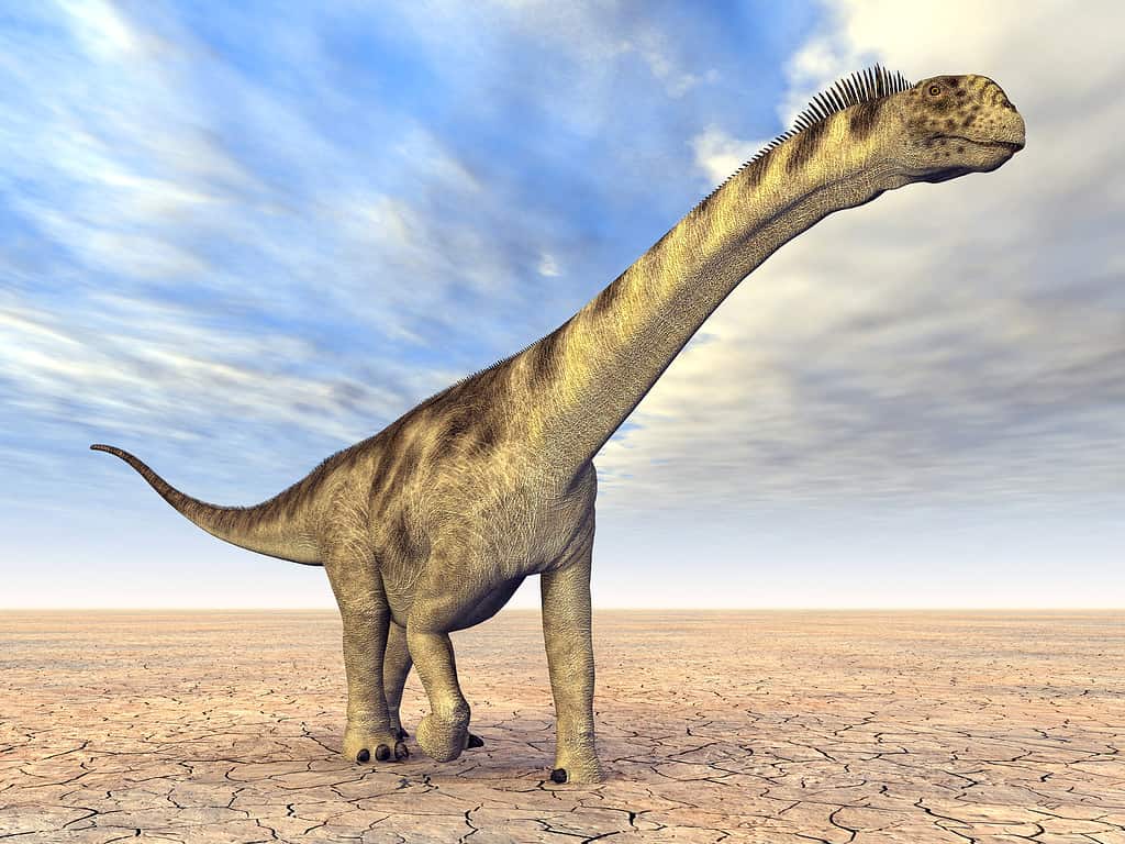 Discover Camarasaurus: Where It Roamed, Diet, Predators, and More!