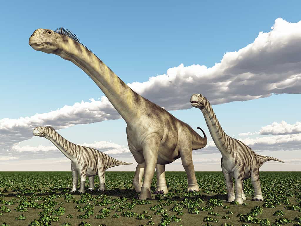 Discover Camarasaurus: Where It Roamed, Diet, Predators, and More!