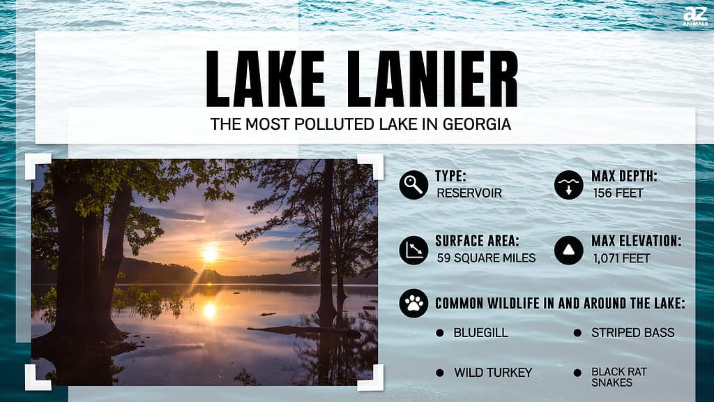 Where Is Lake Lanier? Map Location and Proximity to Surrounding Cities