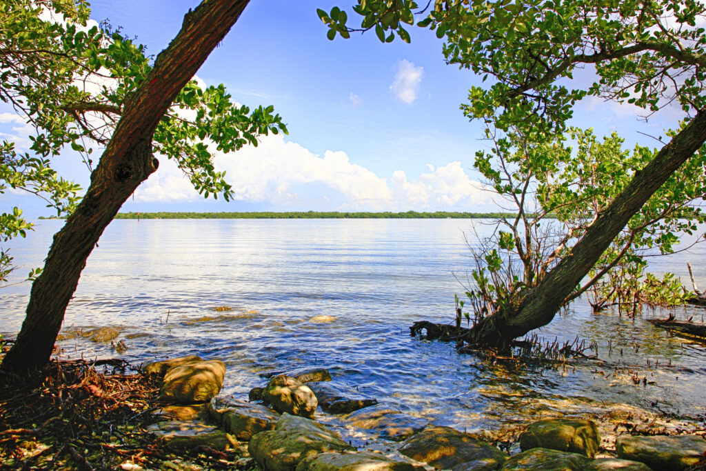 Discover the Top 10 Senior-Friendly Walking Trails in Florida