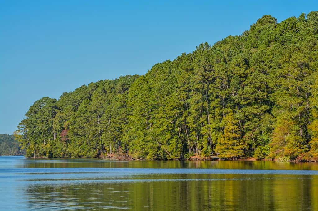 Meet the #1 Largest Landowner in All of Louisiana