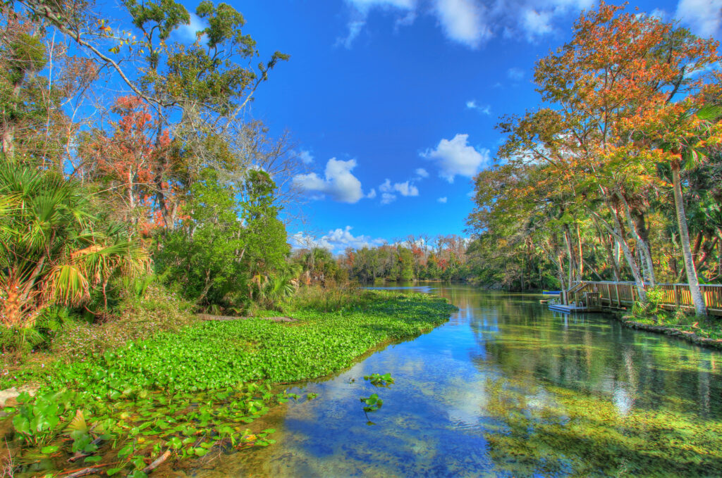 Discover the Top 10 Senior-Friendly Walking Trails in Florida