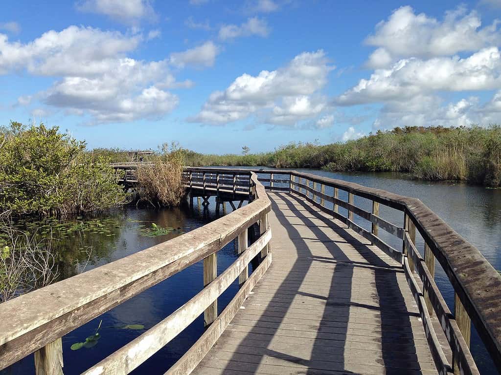 Discover the Top 10 Senior-Friendly Walking Trails in Florida