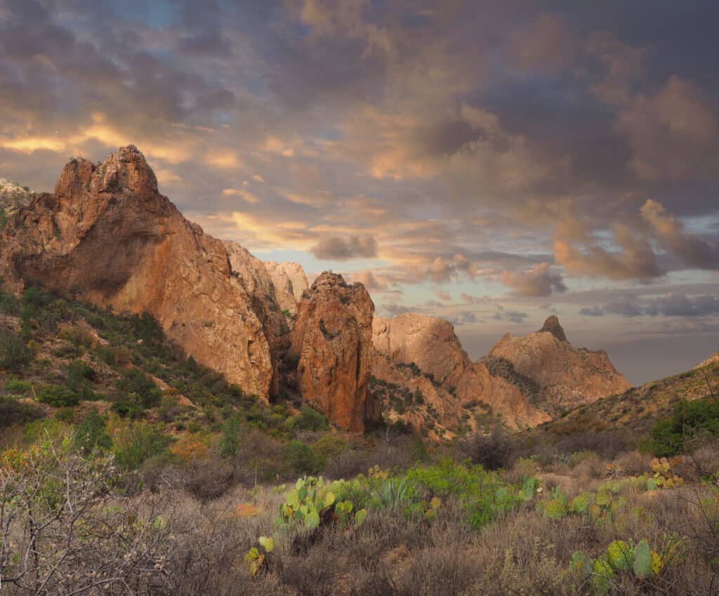 Hunting in Texas: 8 Great Public Hunting Lands