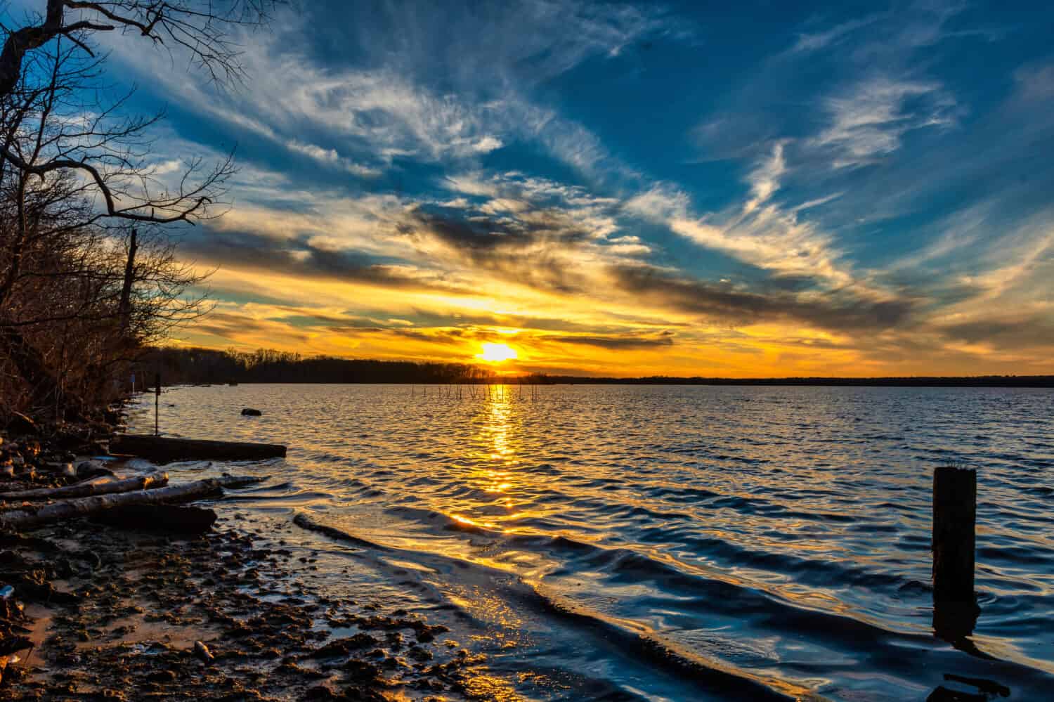 The 5 Best Places and Times to See Bald Eagles in Virginia