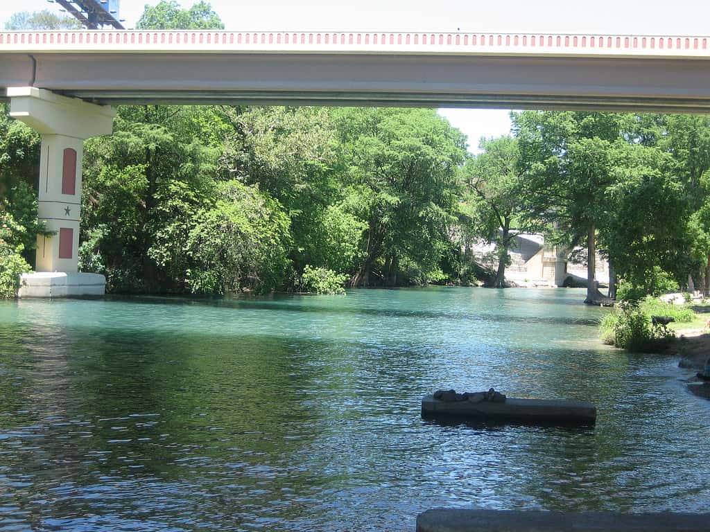 Just How Wide is the Guadalupe River at Its Widest Point?