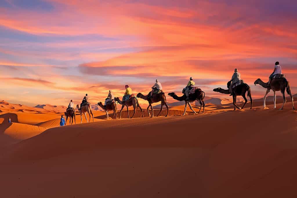 12 Mind-Blowing Facts About the Sahara Desert