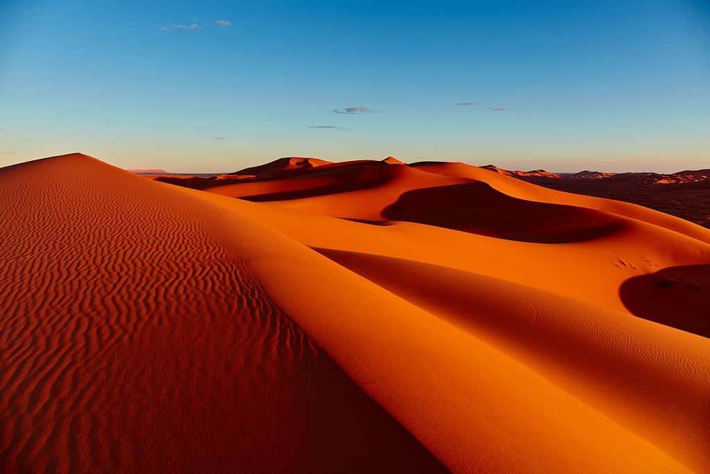 12 Mind-Blowing Facts About the Sahara Desert