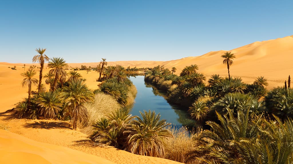 12 Mind-Blowing Facts About the Sahara Desert