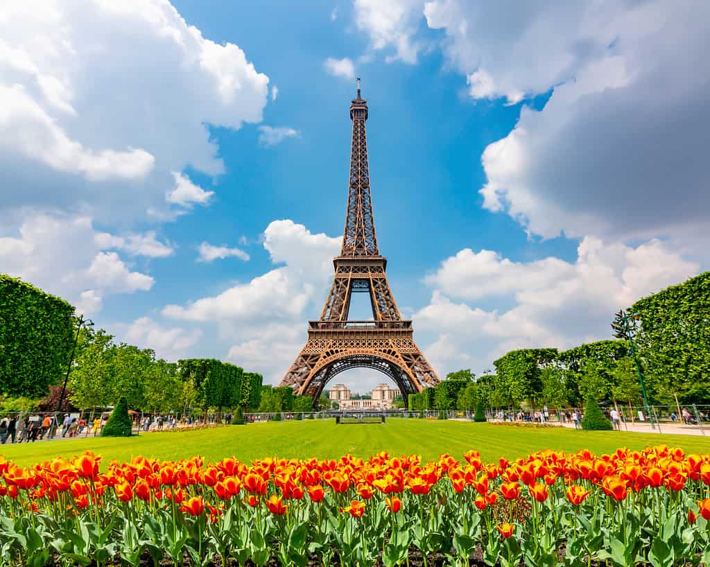 Discover How and Why the Eiffel Tower Was Built