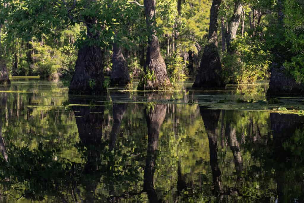 Discover the 10 Most Remote Spots in North Carolina And How to Safely Get There