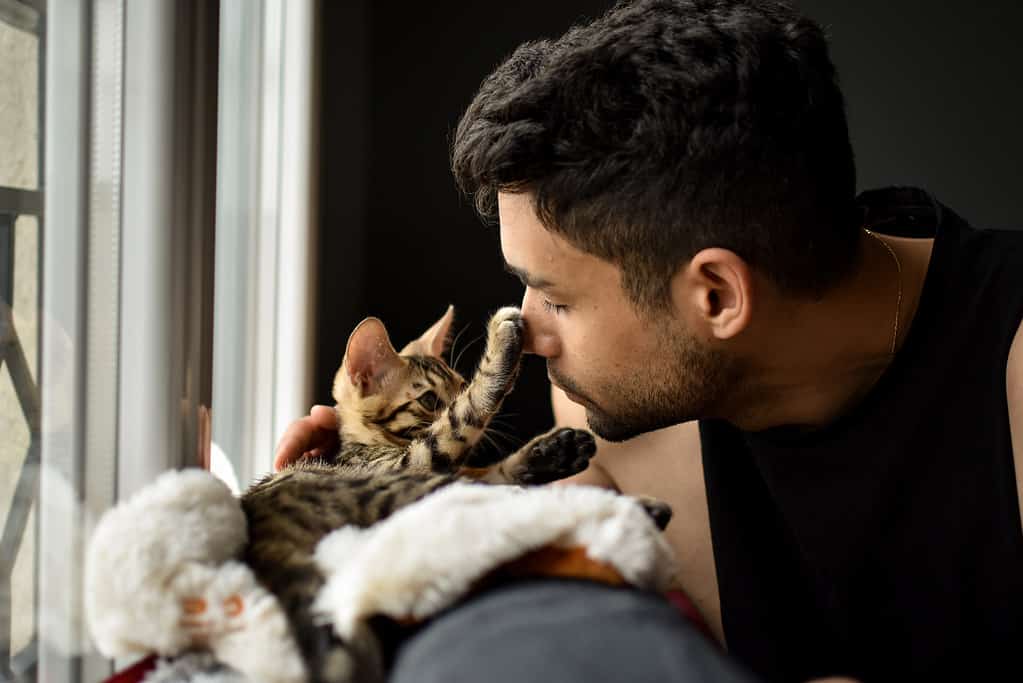 Discover Why Cats Mimic Their Owners