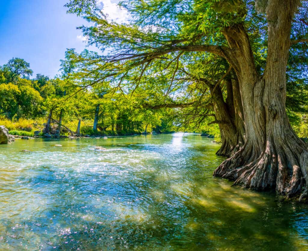 Just How Wide is the Guadalupe River at Its Widest Point?