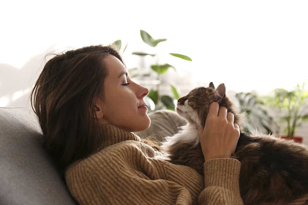 Discover Why Cats Mimic Their Owners