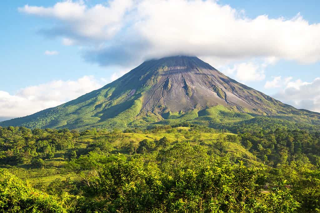 The 10 Best Places for Bird Watching in Costa Rica