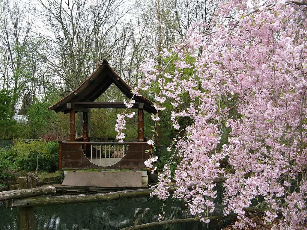 The 12 Best Botanical Gardens in Indiana