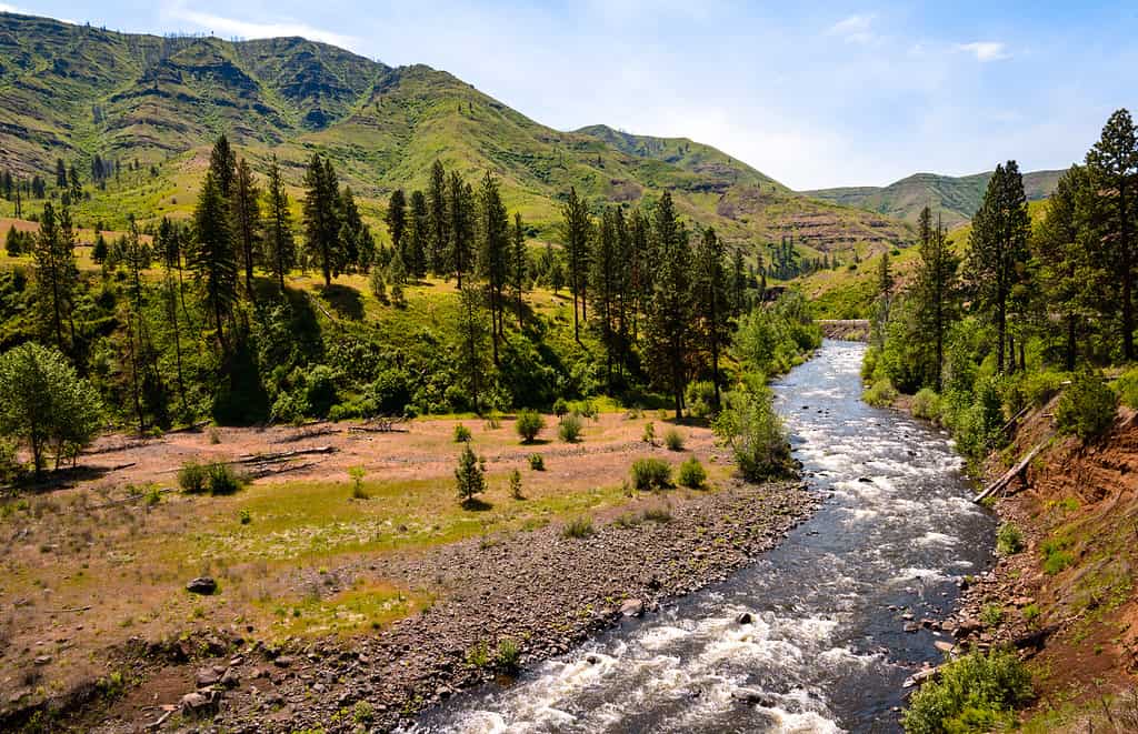 Meet the #1 Largest Landowner in All of Oregon