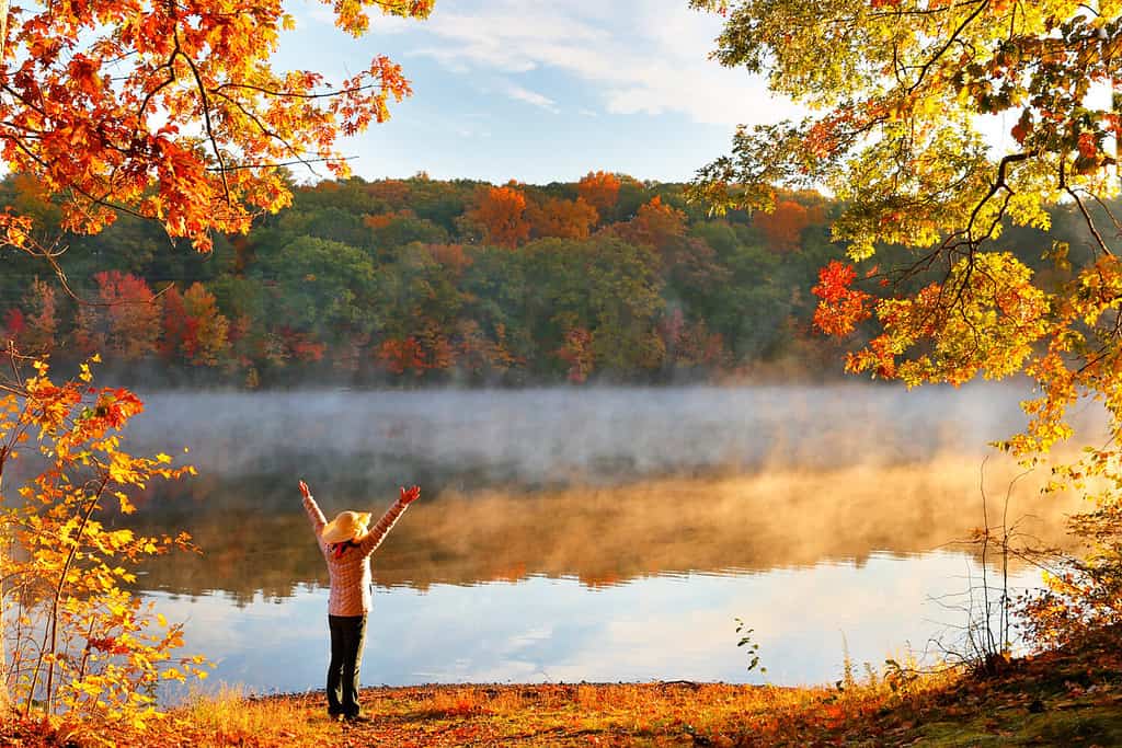 Explore the 5 Best Pumpkin Patches in Maine to Embrace the Fall Season