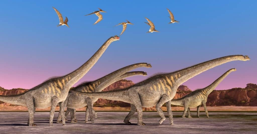 Discover 30  Dinosaurs That Start With S