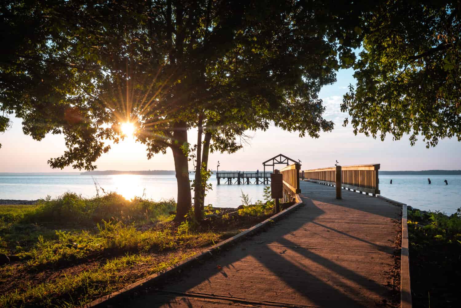 The 5 Best Places and Times to See Bald Eagles in Virginia