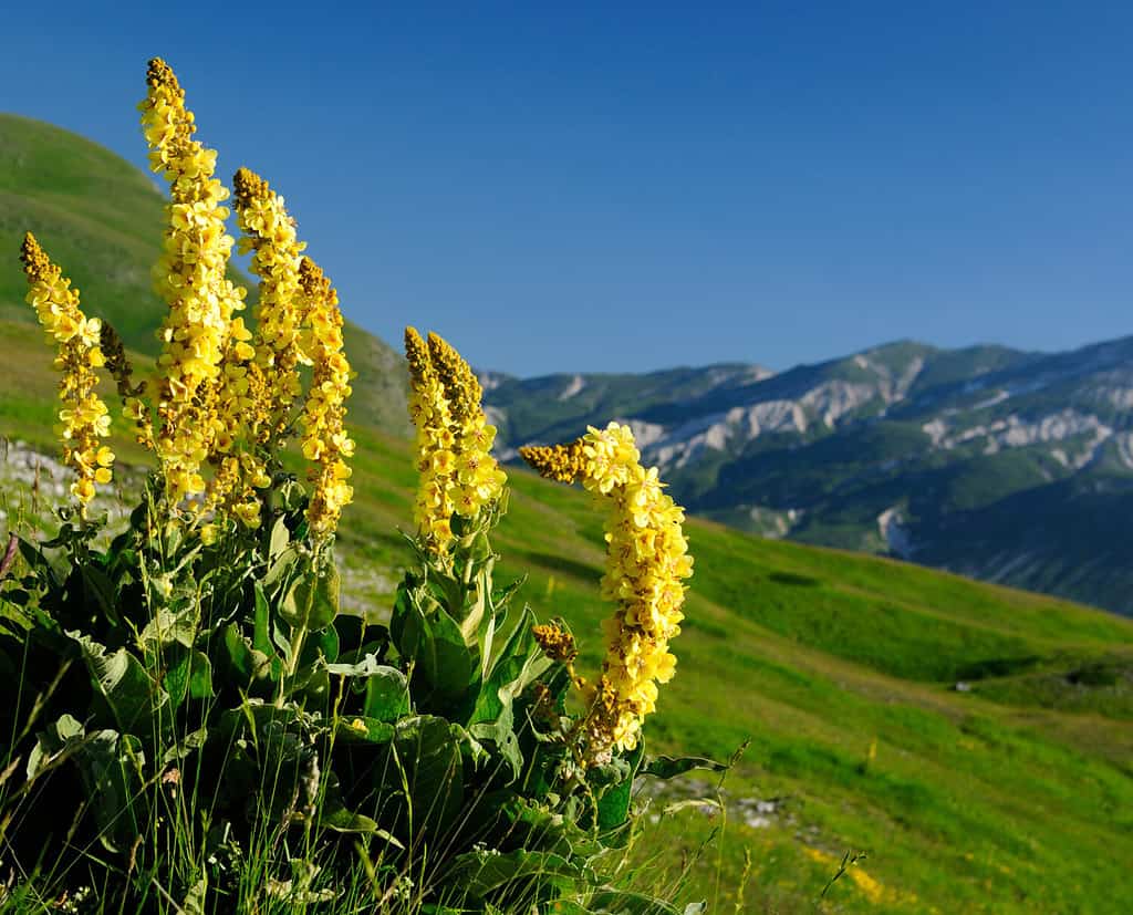 Discover the 11 Most Important Rivers in Italy