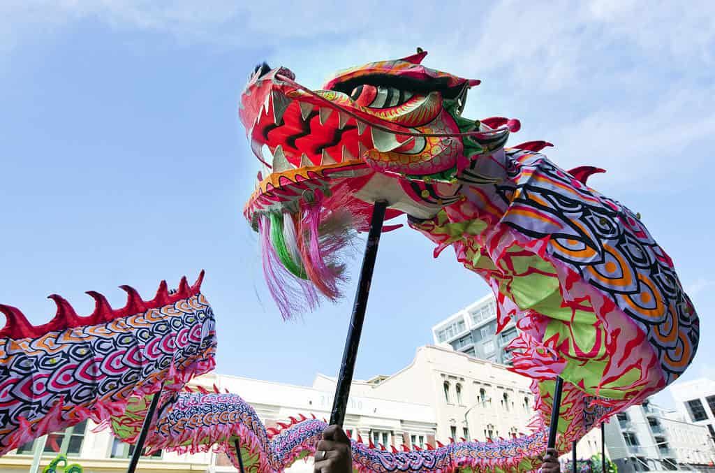 Were Dragons Real? Which Beasts Today Look Like Them?