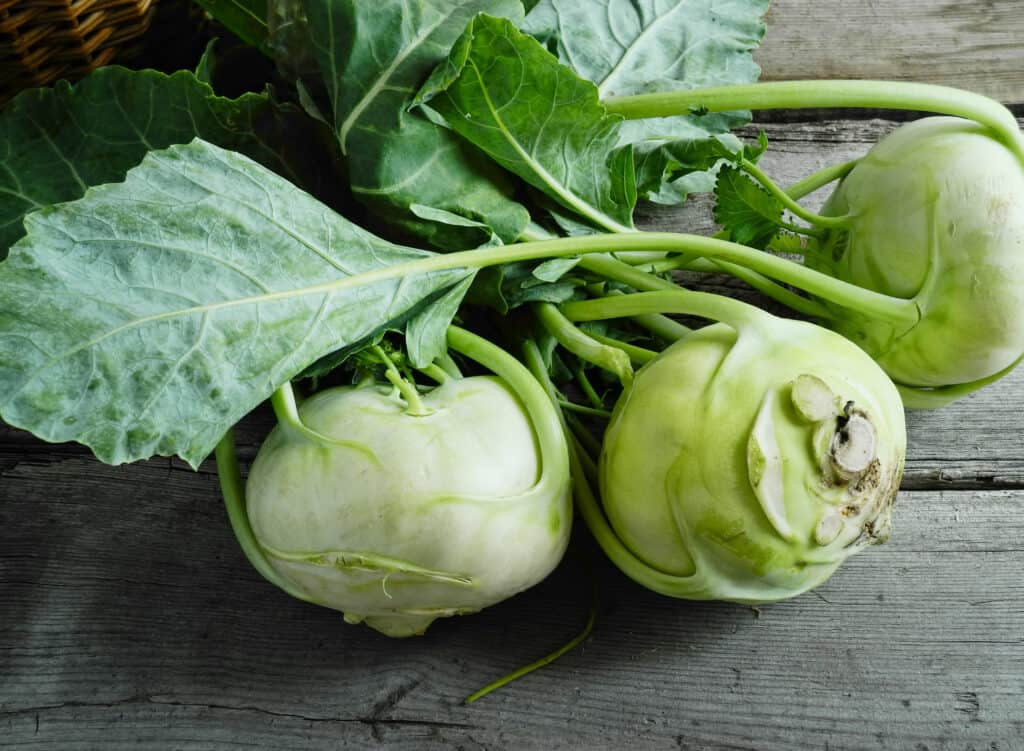 Explore the 13 Vegetables That Start With K