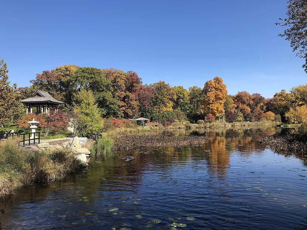 The 12 Best Botanical Gardens in Indiana